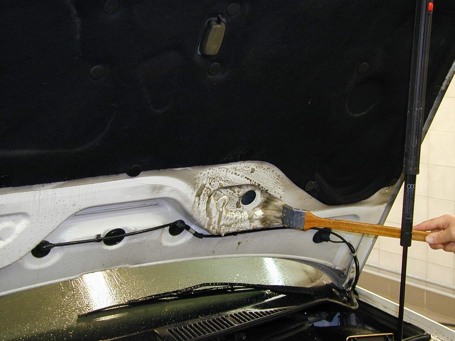 bàn chải chà sạch vết bẩn. bàn chải chà sạch vết bẩn.