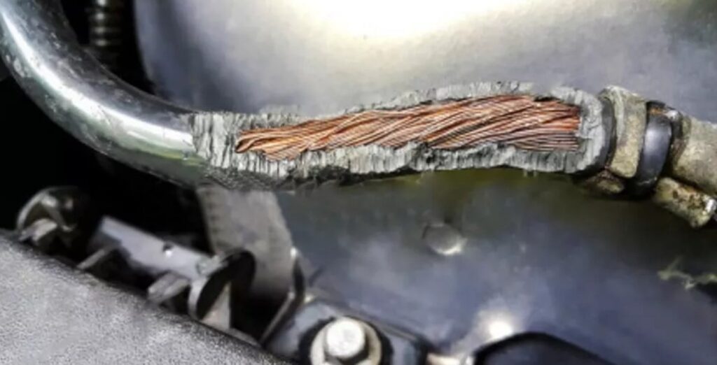 Tại sao chuột lại là "kẻ thù" của khoang máy ô tô?