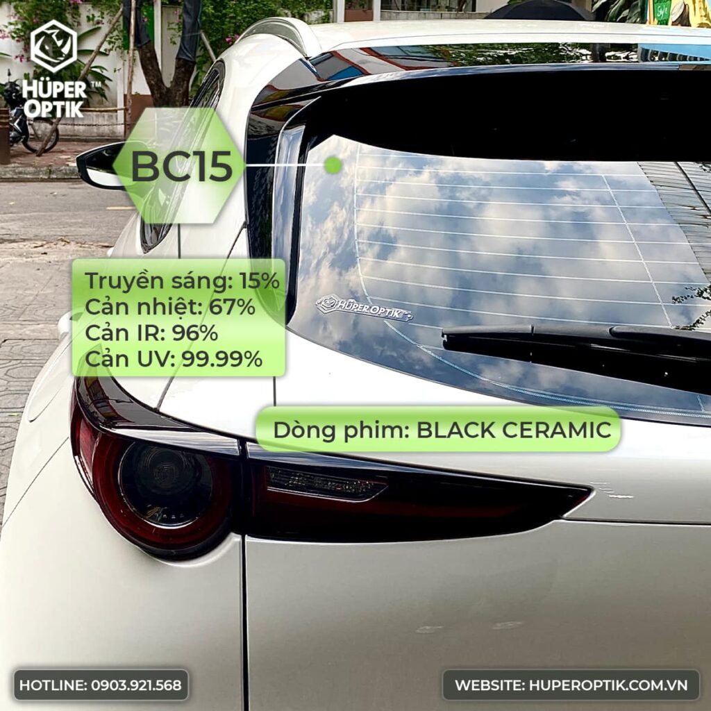 489041601 1554581475455345 1577213357013508320 n