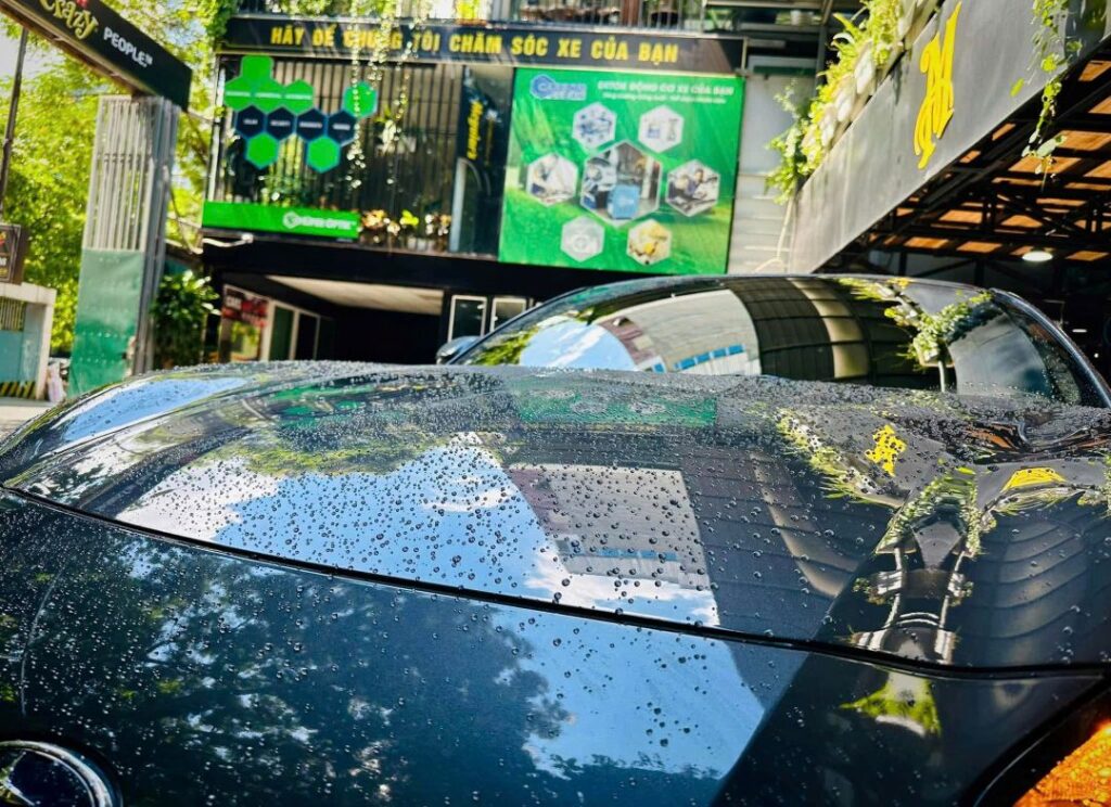 Hiệu ứng lá sen